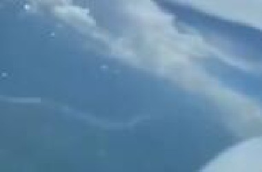 真实遭遇UFO