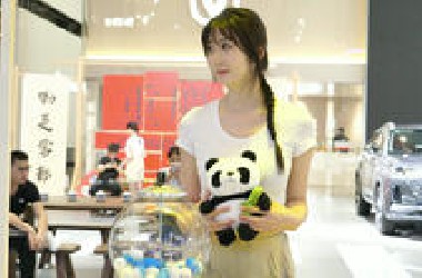 2025粤港澳大湾区车展-车模美女篇 4K