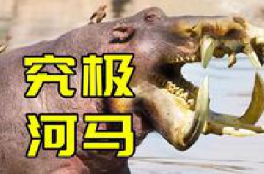 4500万年前最强大的杂食哺*动物竟然是个大河马？【兽族时代】 #古兽篇12