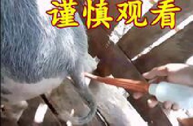 小伙子们谨慎观看