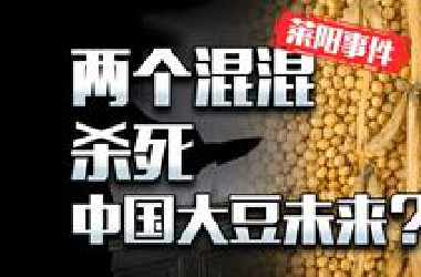 两个混混让中国大豆永远无法自给自足？莱阳事件到底咋回事？