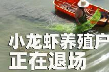 曾经亩入过万，小龙虾养殖户正在退场