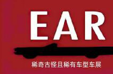 稀奇古怪且稀有车型车展