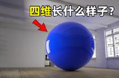 四维长什么样子？