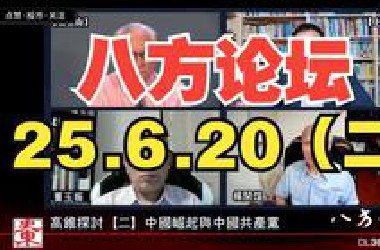 沈逸 八方论坛 切片 25.6.20（二）