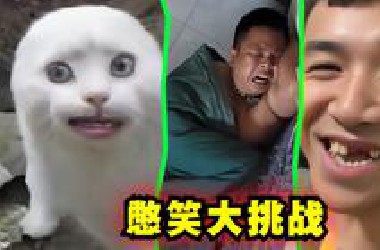 憋笑大挑战：我不信你能忍住不笑看完这五关！