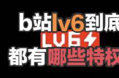 [*站扫盲计划11]*站lv6到底是有什么用?有哪些专属特权?