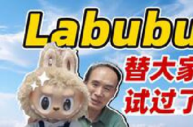 复旦教授也爱La*u*u：别问值不值得，你的热爱才是最珍贵的