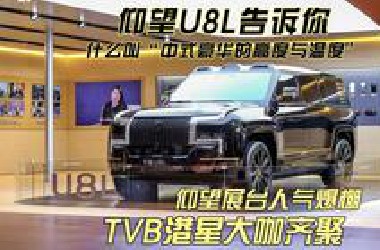 港星大咖齐聚仰望展台！仰望U8L领衔中式豪华，2025粤港澳大湾区车展究竟藏着多少惊喜？
