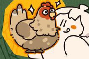 【warma】好想养鸡啊！！