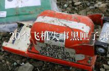 [中文字幕]20个飞机失事黑匣子录音