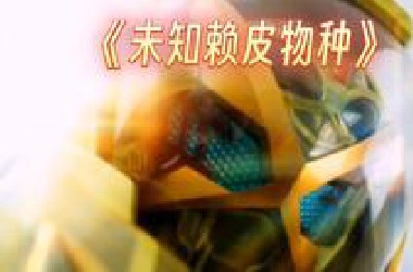 虚假的UFO VS 真正的UFO（建议改为：未知赖皮物种）