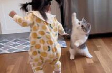 猫:别以为我不打小孩～