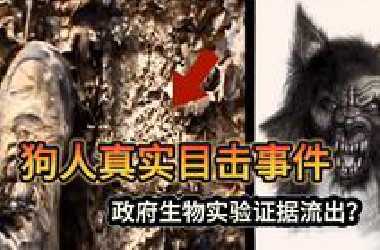 《UMA档案系列》2022-2025 狗人最新目击事件，是军事实验失控，还是超自然作祟？