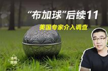 哥伦比亚布加球，故事后续进展（十一）美国专家介入调查
