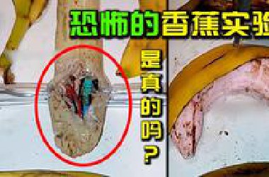 【破解】实验室里培育出蠕动的水果？恐怖的香蕉实验是真吗？