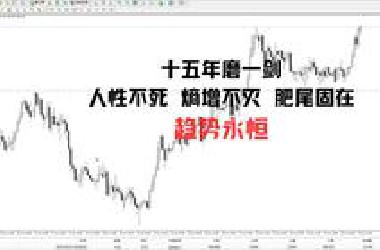 十五年磨一剑——人性不死 熵增不灭 肥尾固在 趋势永恒