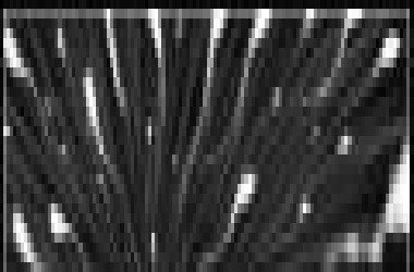 【猎奇动画MV】吐槽的地方实在太多...