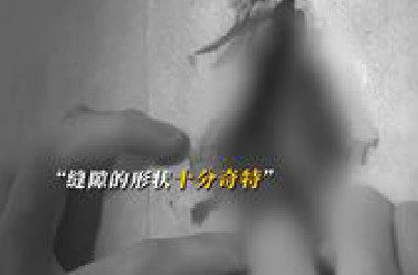 还以为墙上的鲍鱼洞是你姐姐的