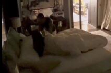 【单身即地狱】这姐猛 直接让男生跟自己一起睡 果然是成年人的节目