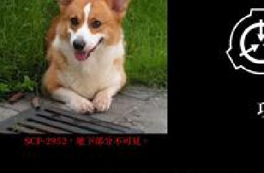 SCP基金會中10个最可愛的SCP
