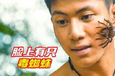 女孩踩死毒蜘蛛，却惹祸上身