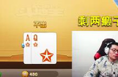 什么样的高手，才会打到剩这两张牌？